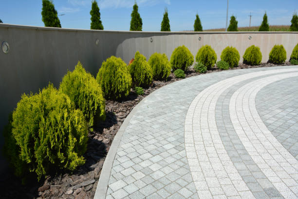 Best Local Driveway Pavers  in Harmony Grove, CA